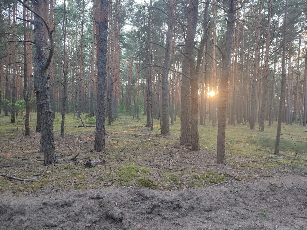 Зображення завантажив Тарас
