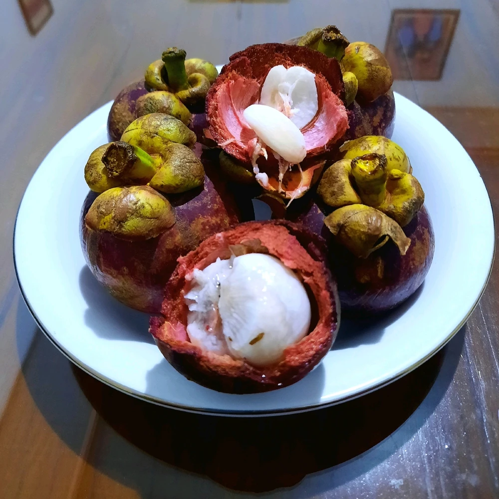 Image uploaded by Edo