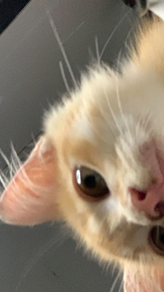 Şevki tarafından yüklenen görsel