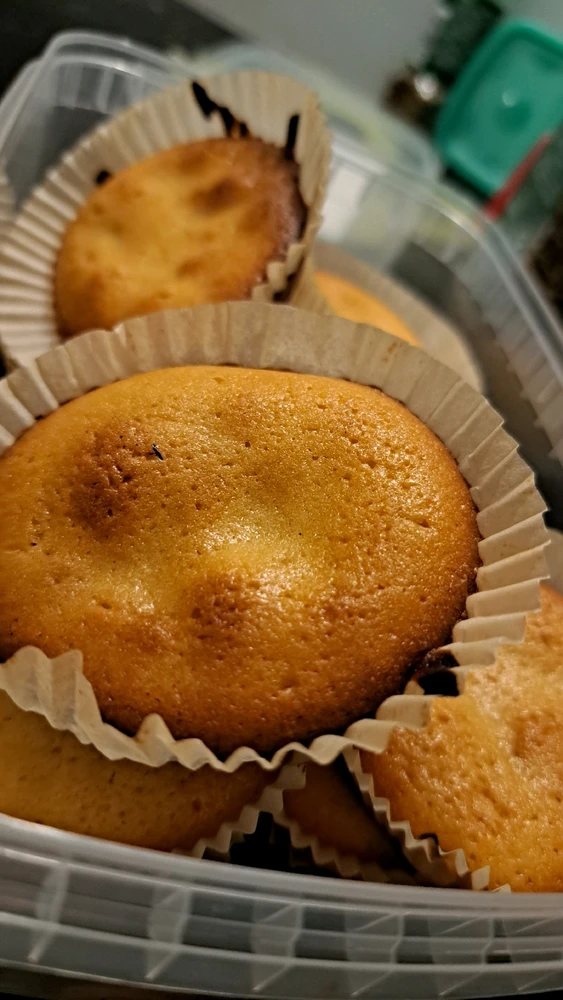 Image ajoutée par Andréa