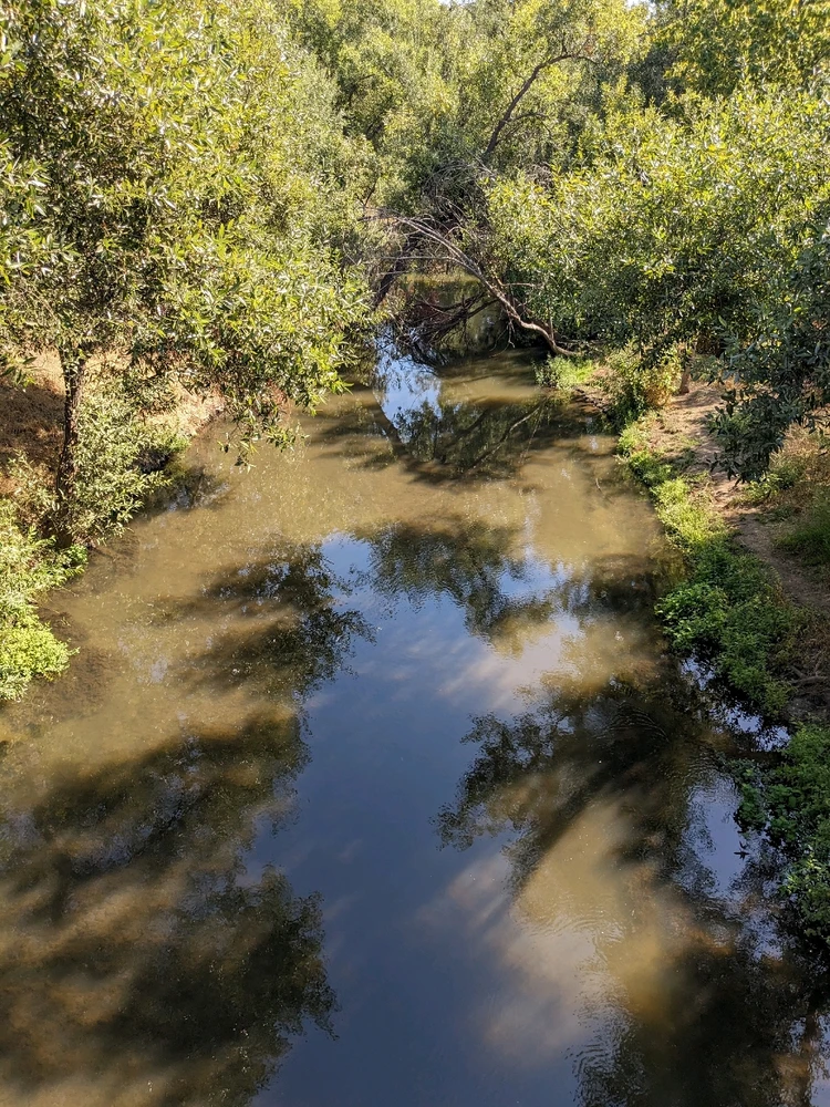 Image uploaded by Freddie Jasso
