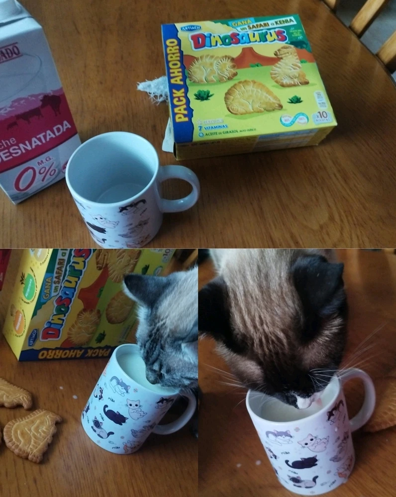 Imagen subida por Rebeca