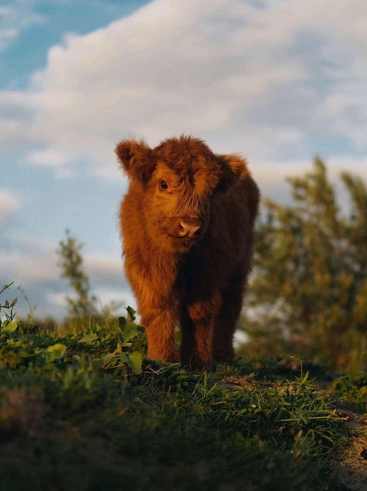 Image uploaded by Tamer