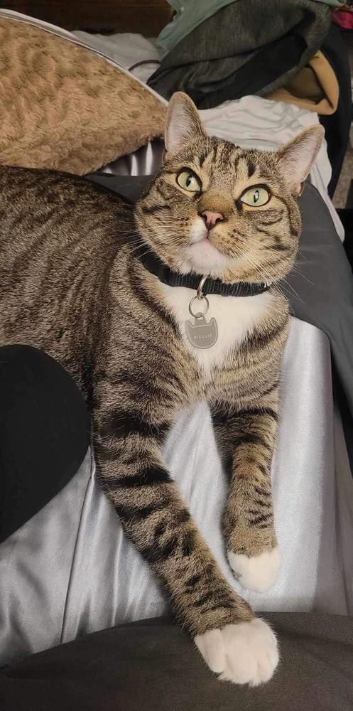 Dapper as ever, a true gentleman. 