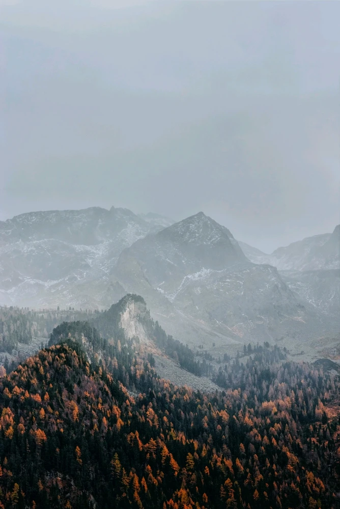 Image uploaded by KARTHIK ROY