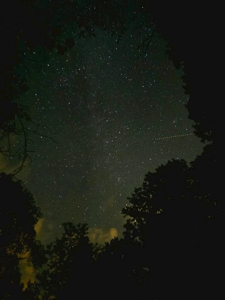 Obrázek nahrál Lukáš