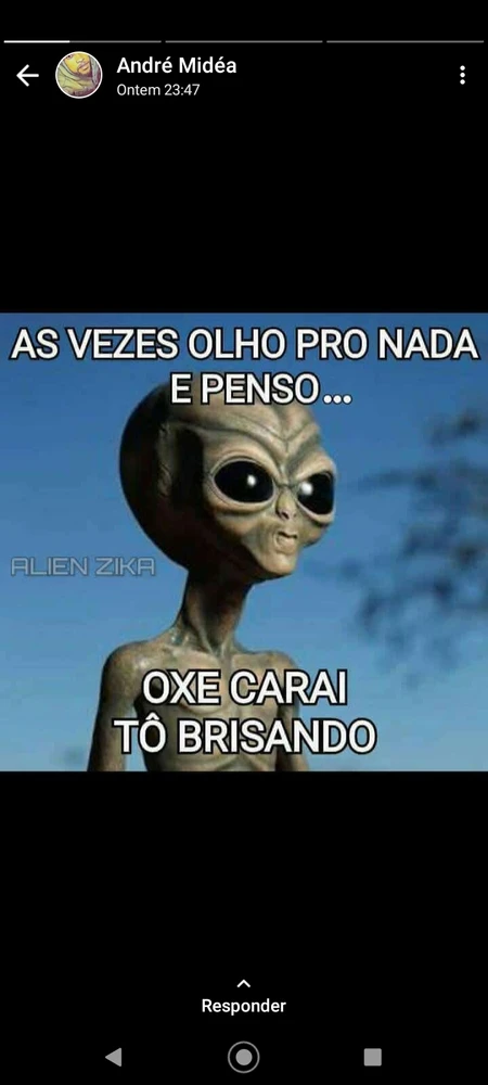 Imagem enviada por André Miranda