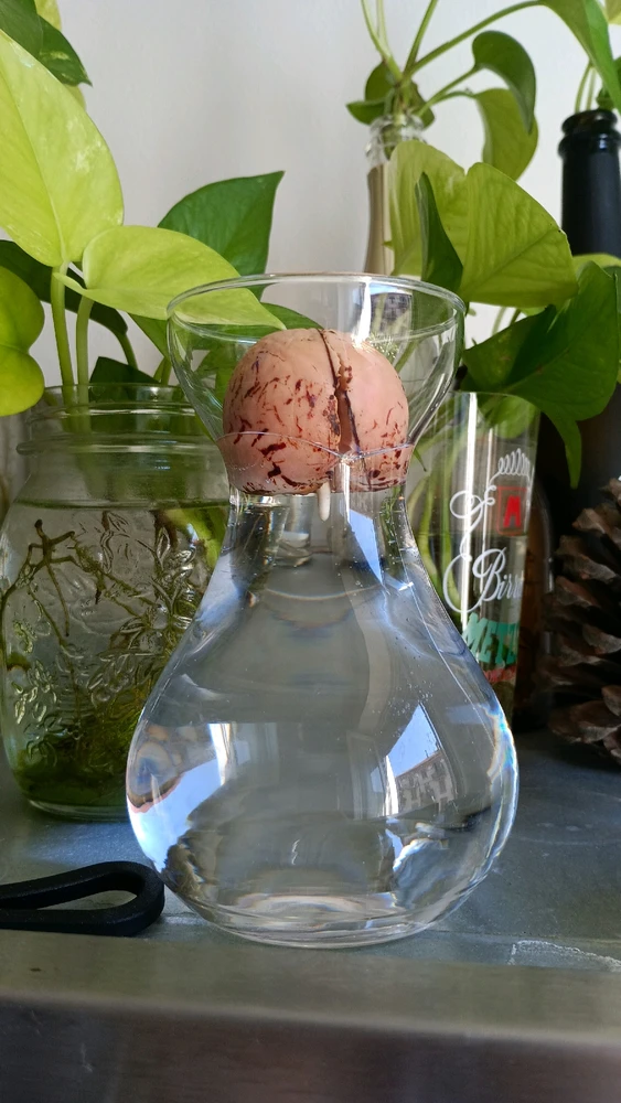 Immagine caricata da Angèle