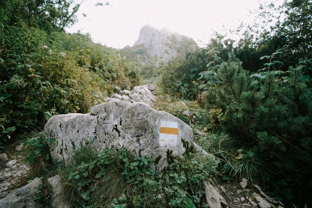 Bild hochgeladen von Chrissy