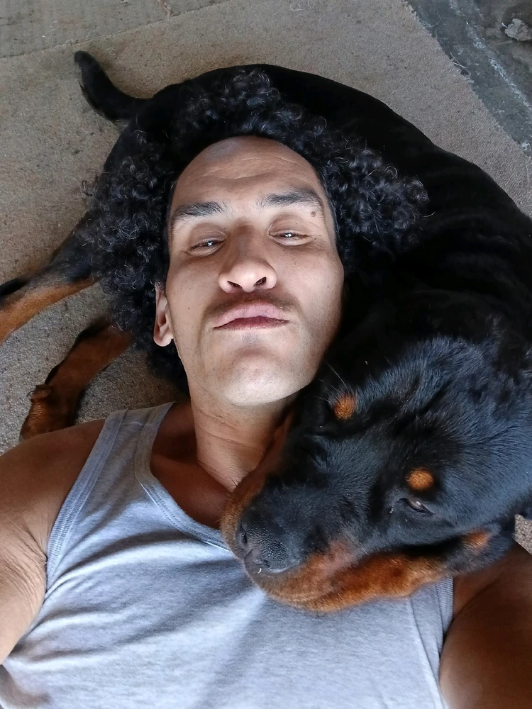 Makaire上傳的圖片