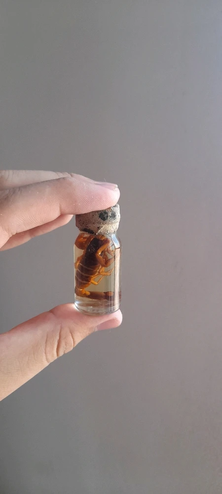 Imagem enviada por Fabio