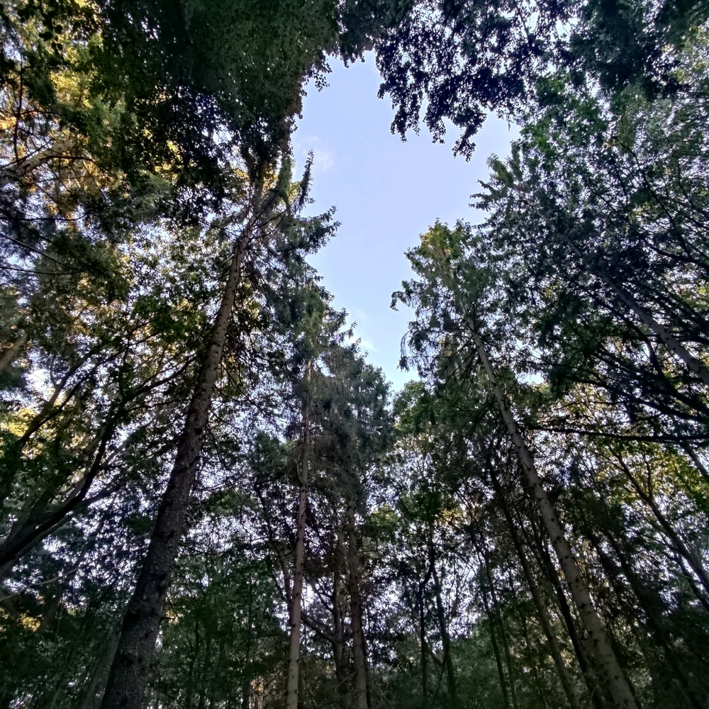 Imagine încărcată de Manu