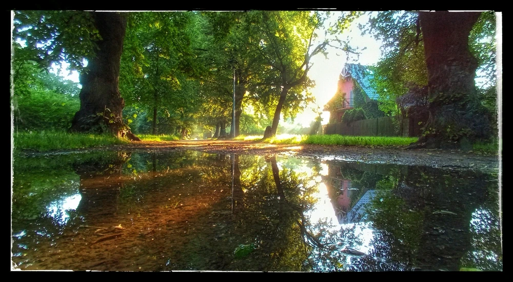 Zdjęcie dodane przez Cthulhu
