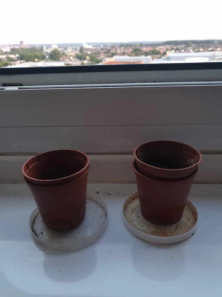 Image uploaded by Jim