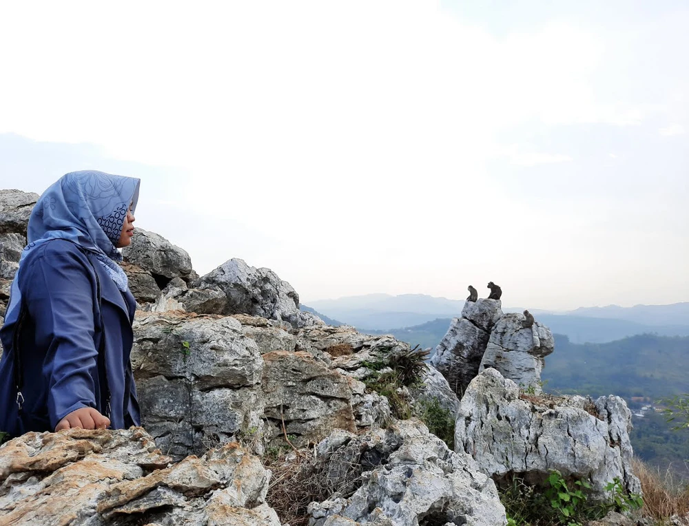 Gambar diunggah oleh Vi