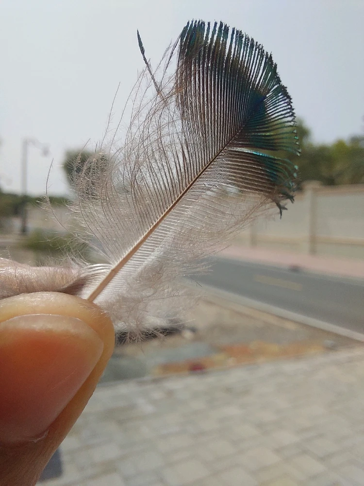 Image uploaded by Amy