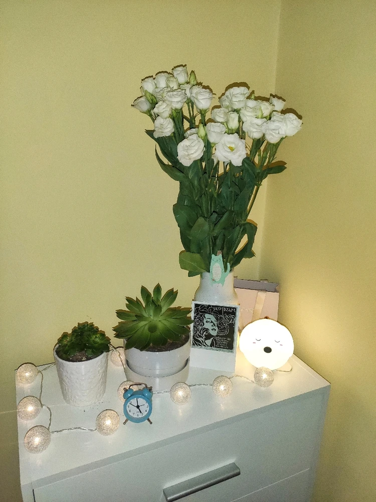 Зображення завантажив Mariczka