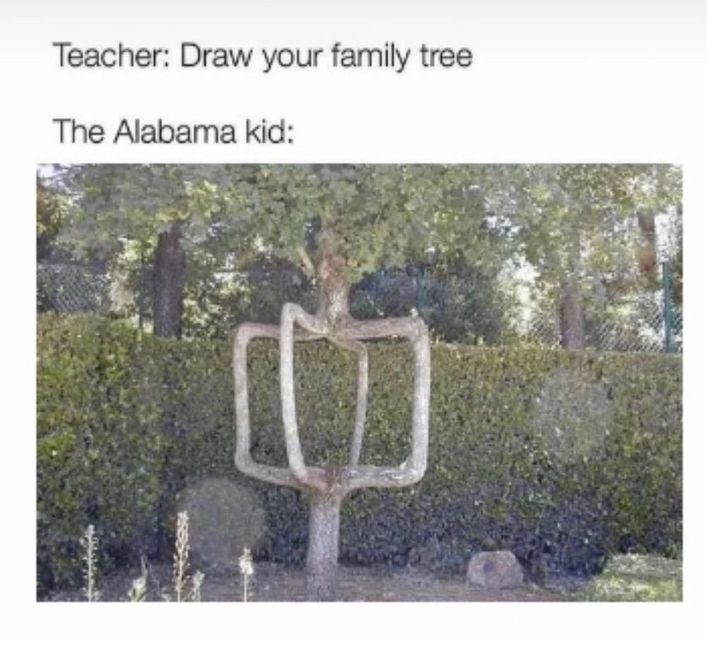 The image contains a joke about Alabama. It contains a pic utensils of a family tree.