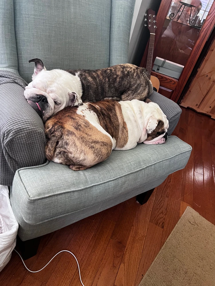 Image uploaded by Tanner