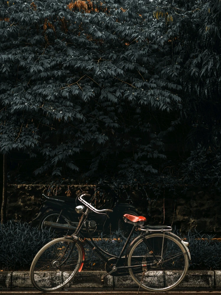 Image uploaded by Hayyun Al-Bantali