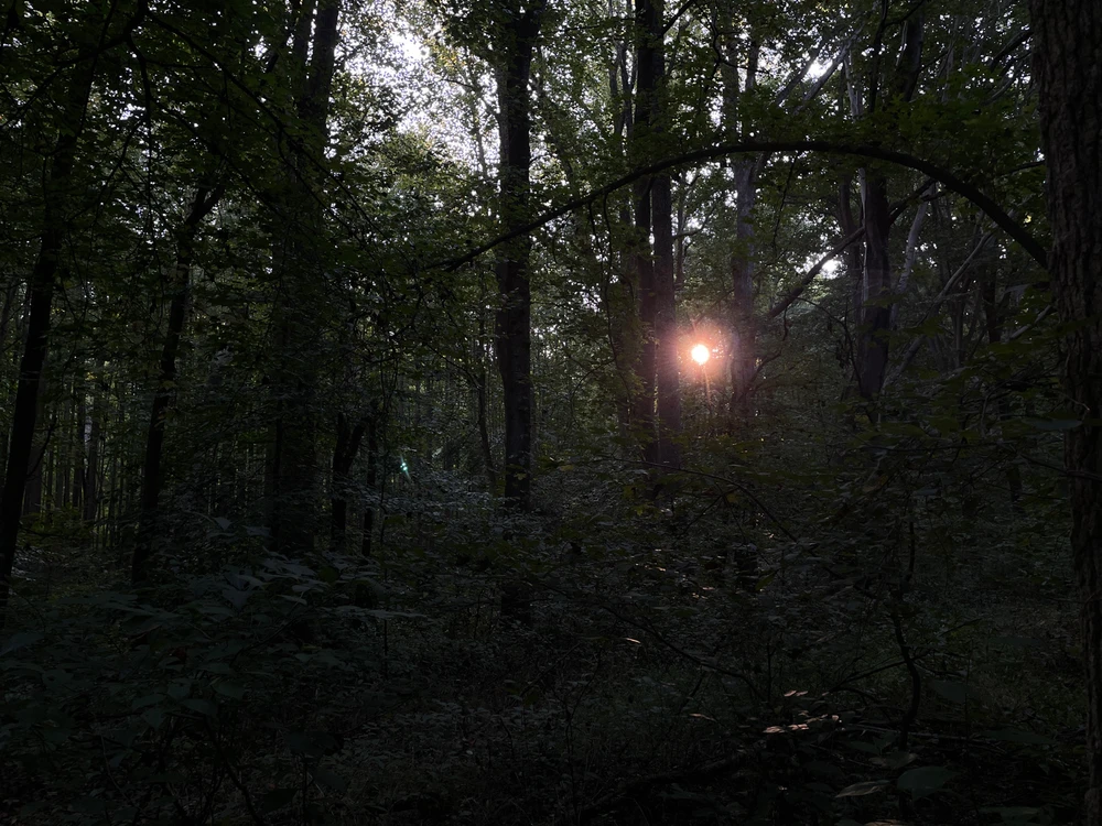 Image uploaded by Peter