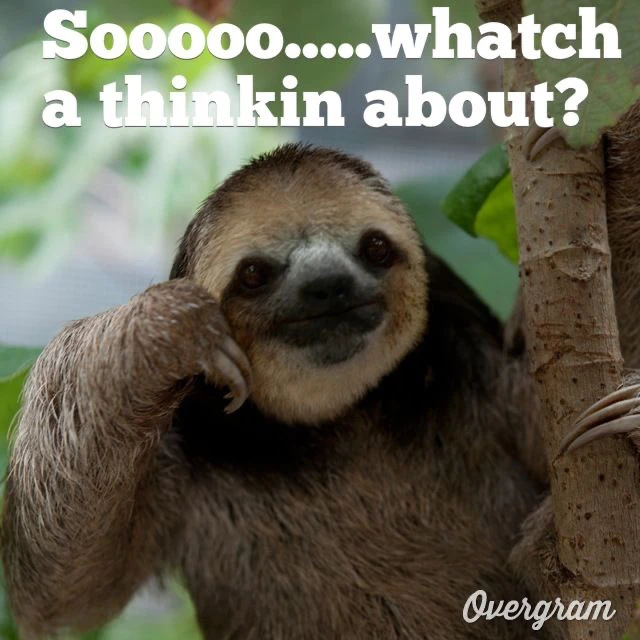 Image uploaded by David Salazar