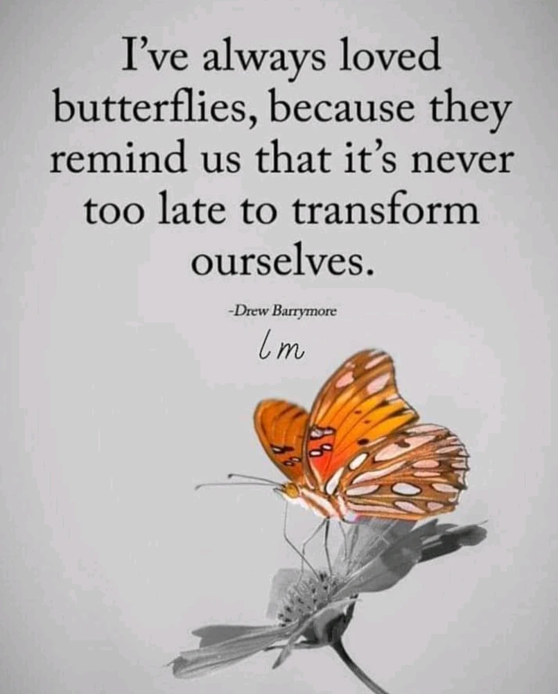 Image uploaded by Amanda