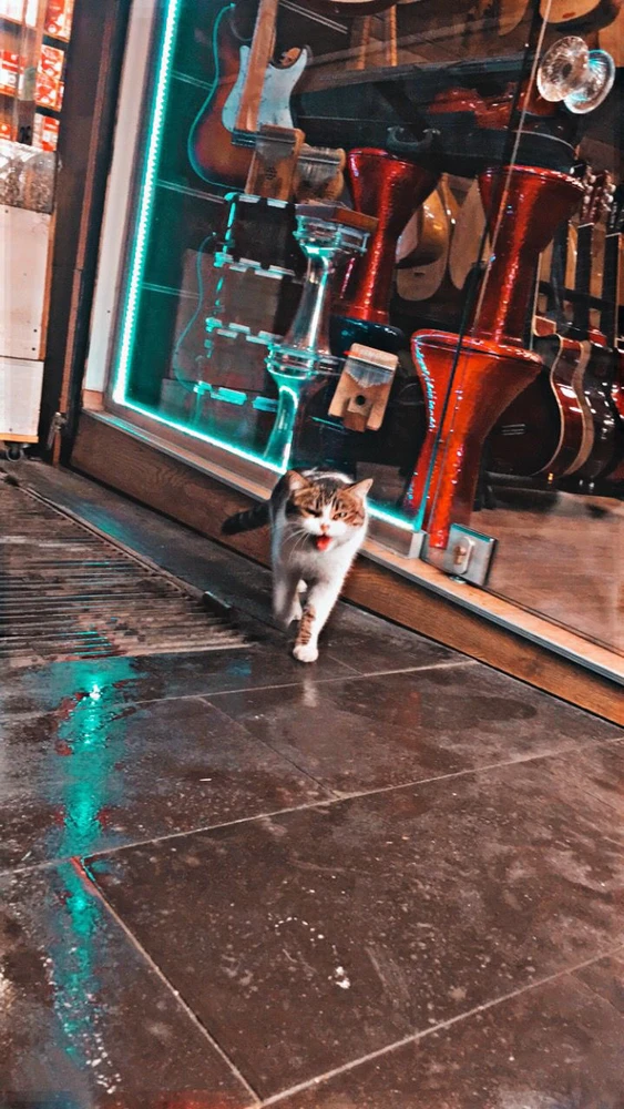 Burak tarafından yüklenen görsel