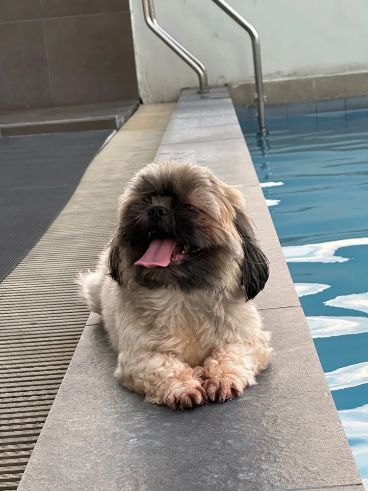 Image uploaded by Louie