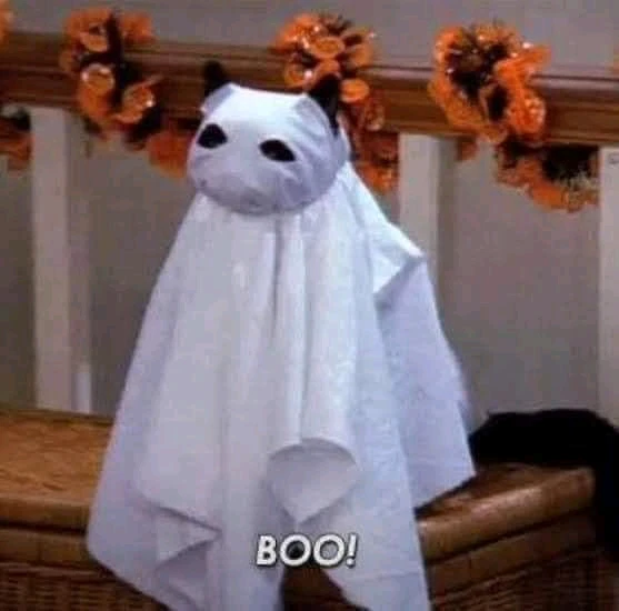 Qn para duo o team de Lol