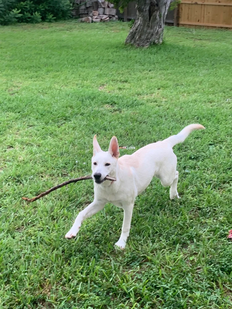 Image uploaded by Cameron