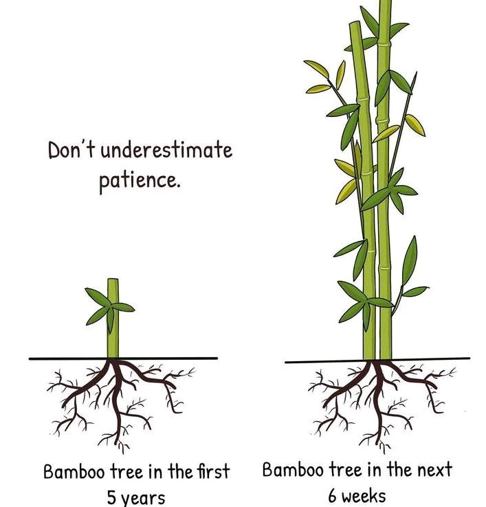 Image uploaded by Vanshika Garg