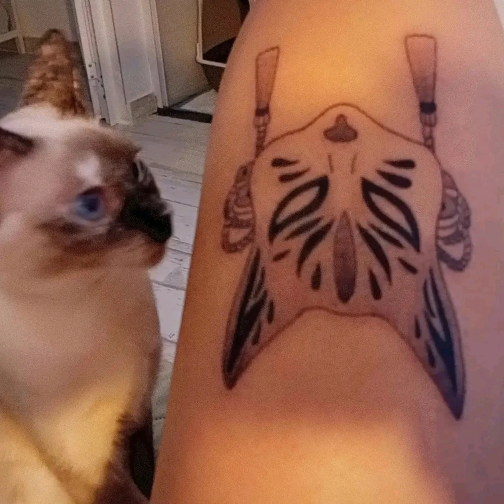 Imagem enviada por Julliana