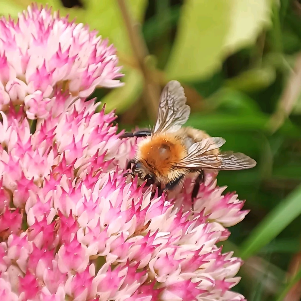 Image ajoutée par Mina