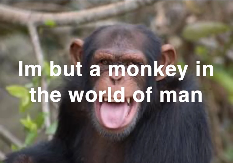 Image uploaded by Joey