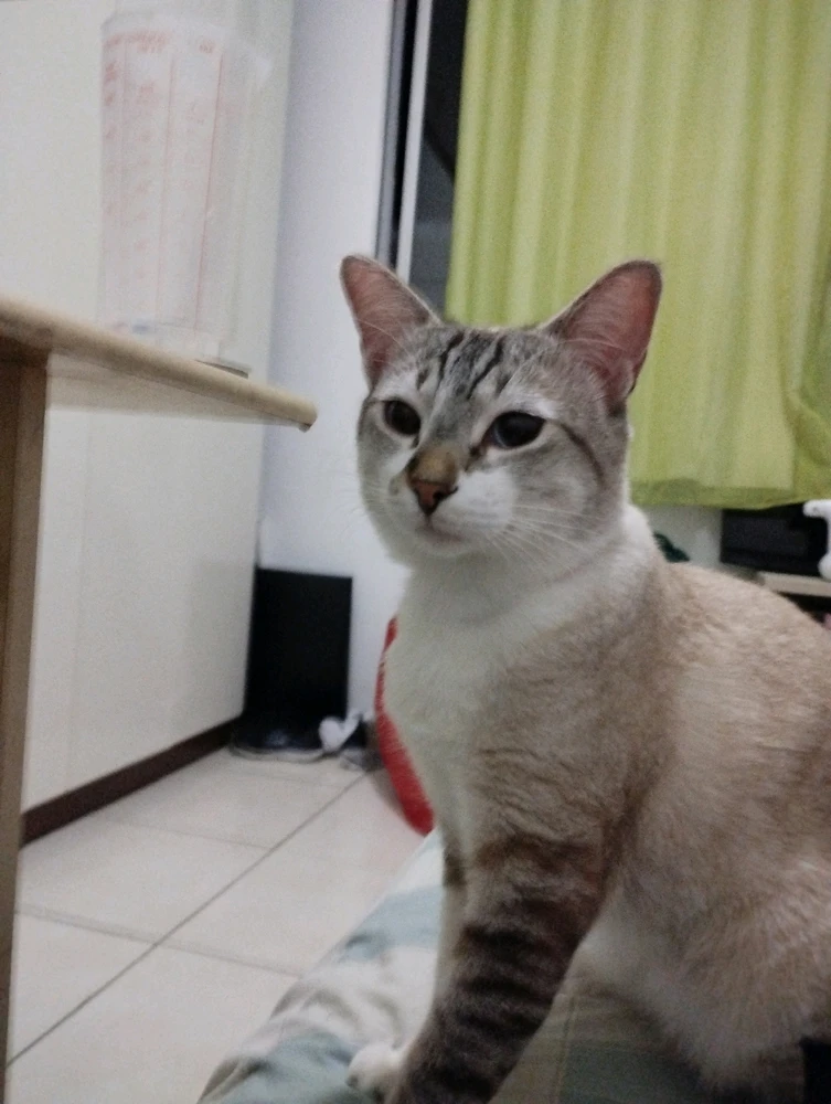 Gambar diunggah dening Ariel Lyra