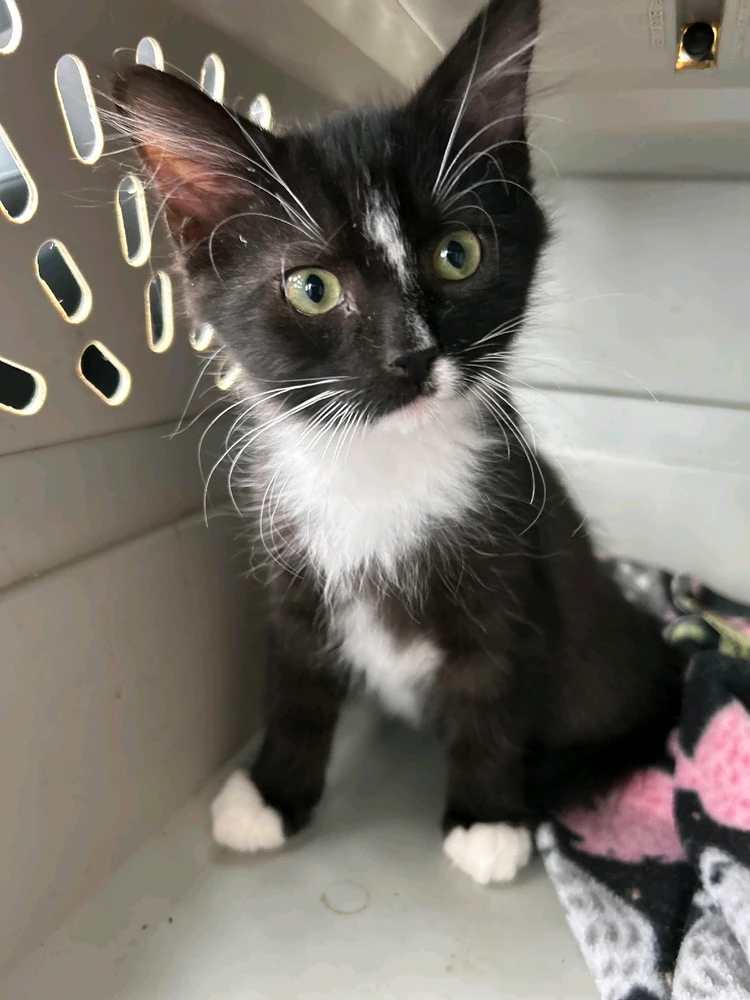 Image uploaded by Mar