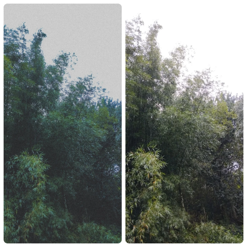 Imagem enviada por Moisés