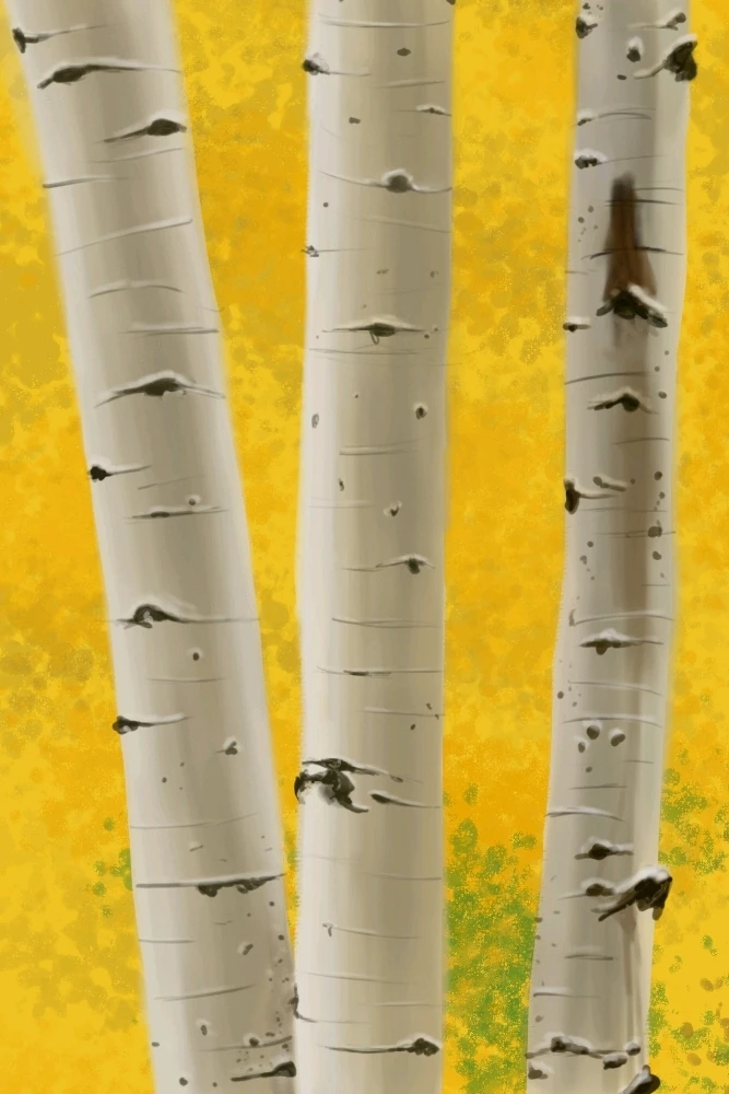 Bild hochgeladen von Lisa Sophie