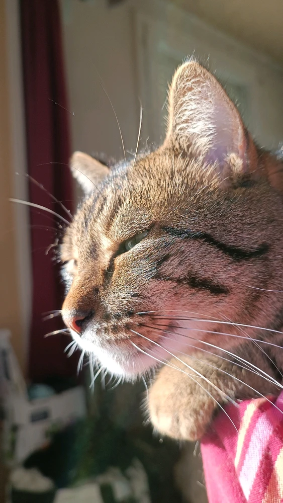 Image ajoutée par Mina