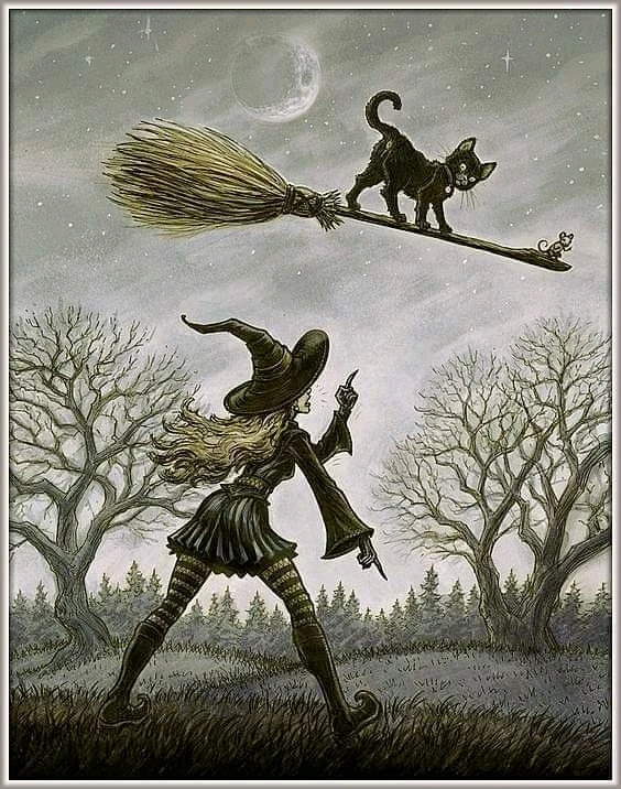 Erie દ્વારા અપલોડ કરેલી છબી