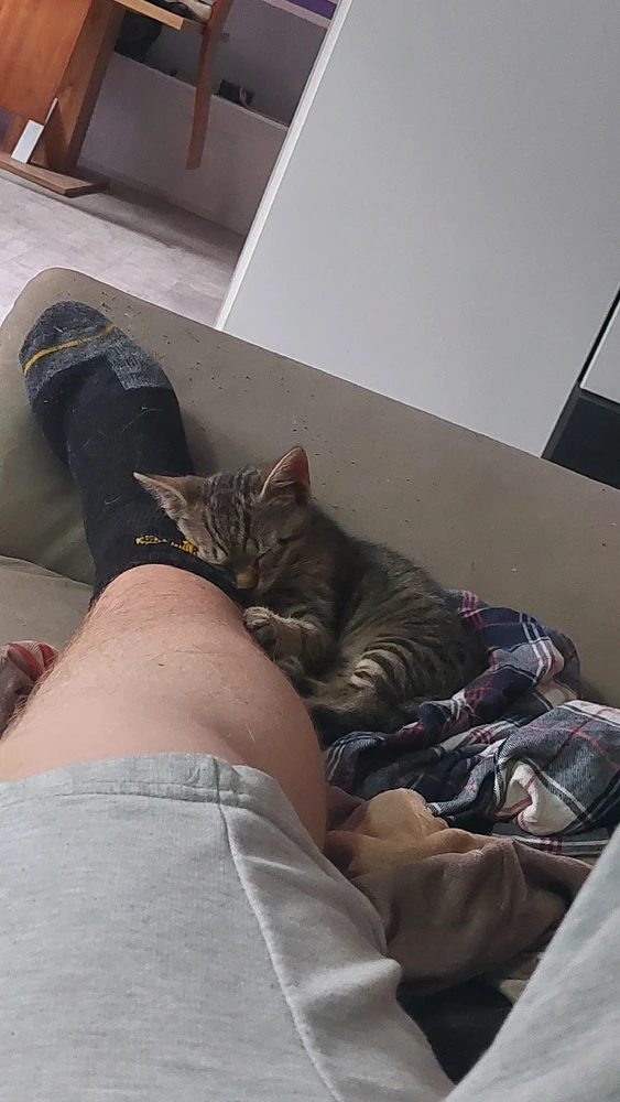 Bild hochgeladen von Max