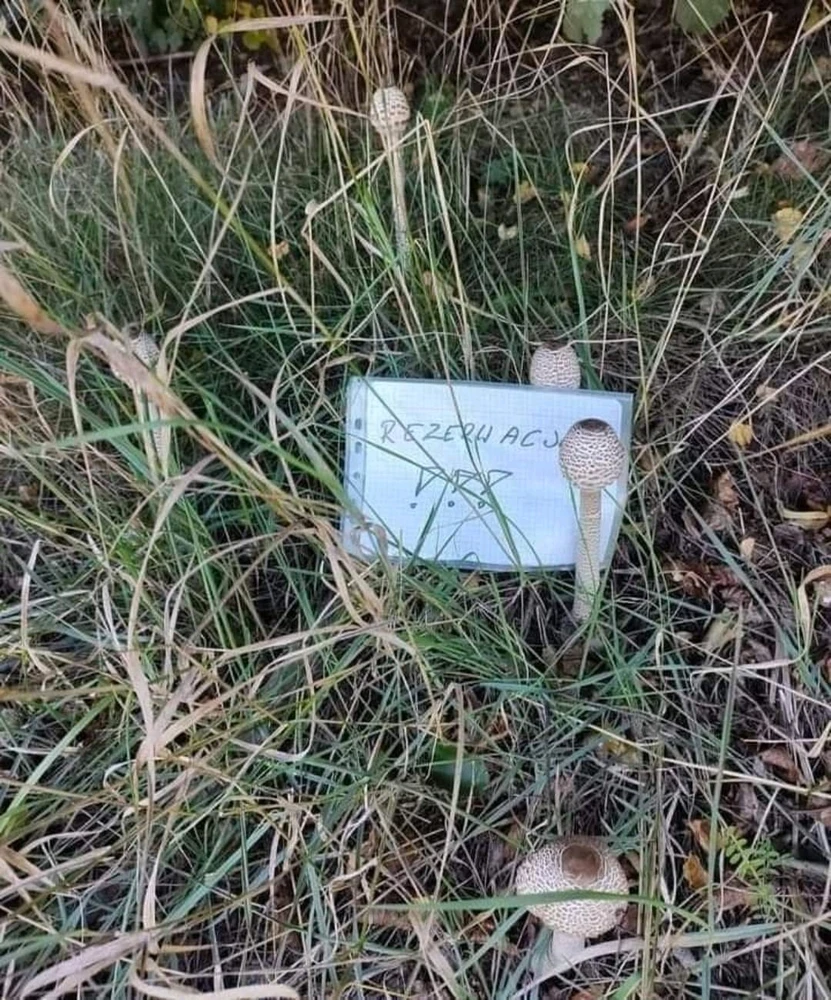 Zdjęcie dodane przez Maciek