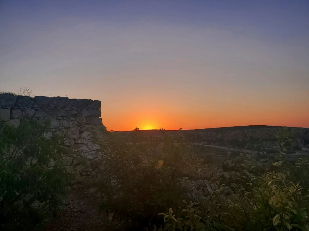 Image uploaded by Matthew