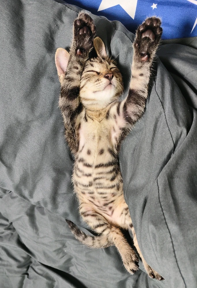 Image uploaded by Nico