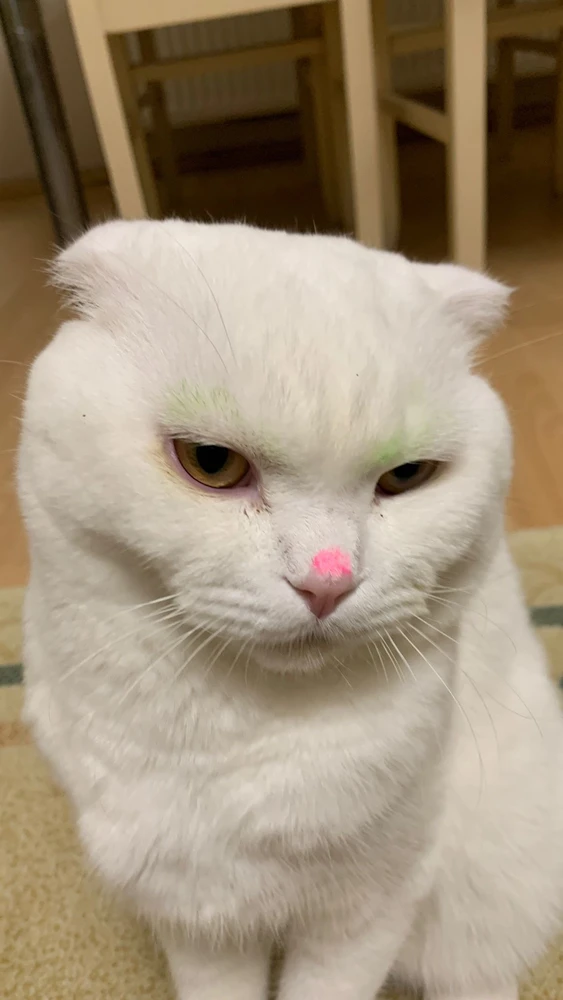 Faruk tarafından yüklenen görsel