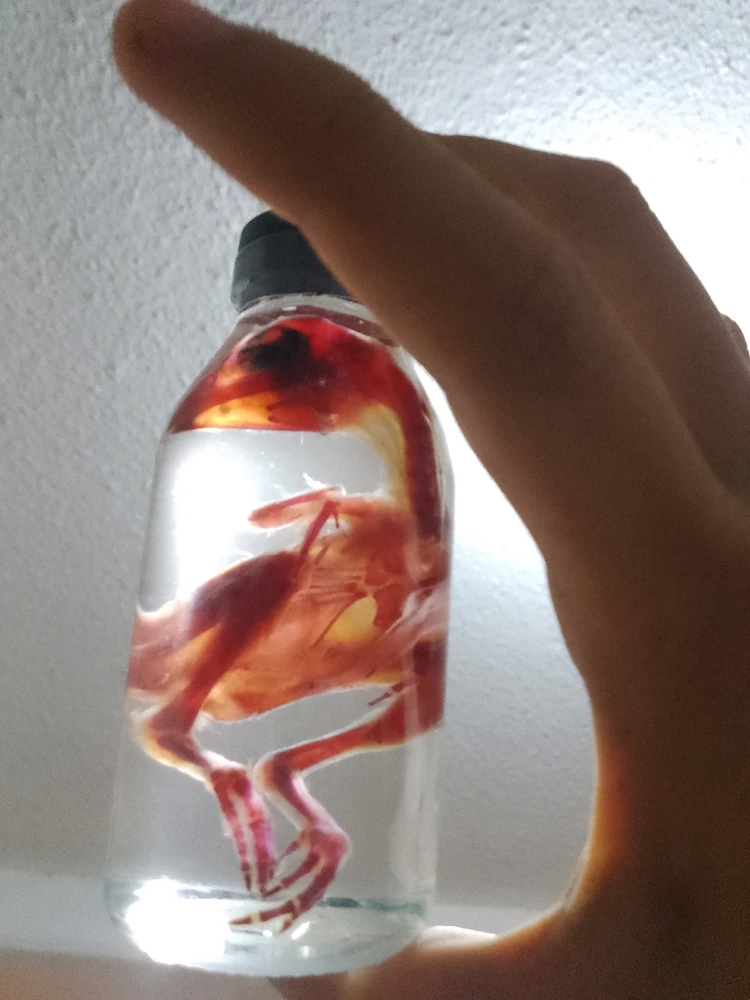 Imagen subida por Alfie