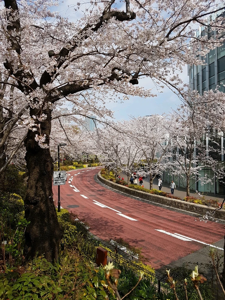 Taken in Roppongi Hills, Tokyo, Japan in Spring of 2019.