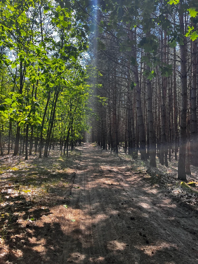 Fotku nahral/-a Renáta