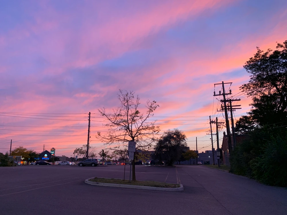Image uploaded by Mason